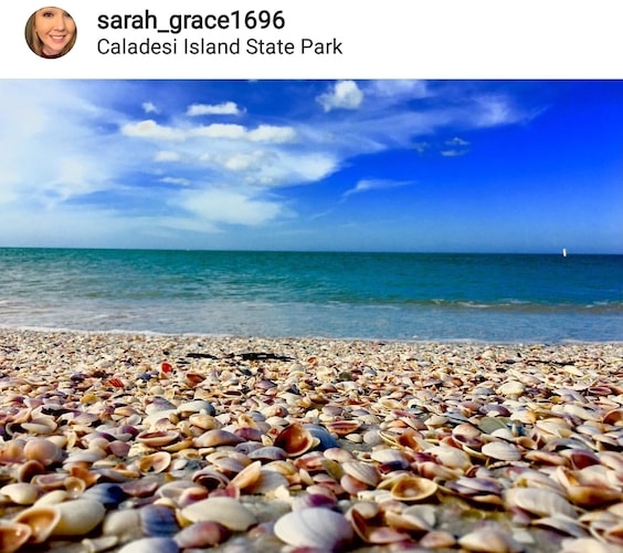 Best Places To Look For Shells In Florida