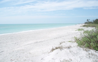 Sanibel Island is one of the best shelling beaches in Florida.