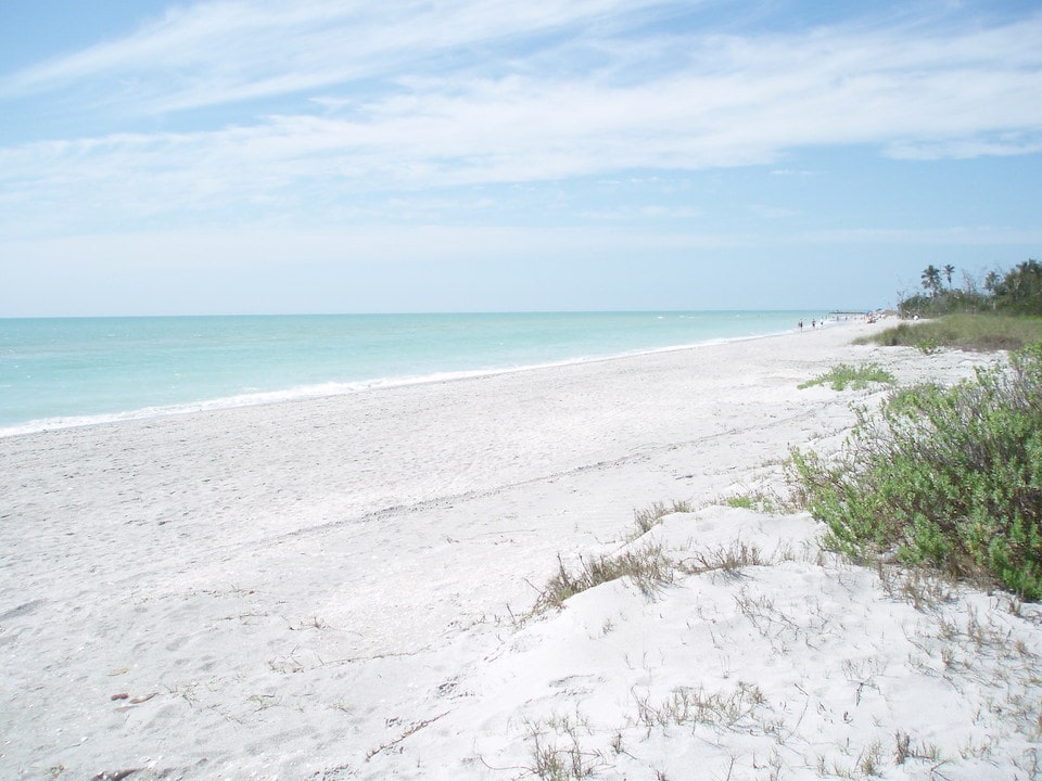 Sanibel Island is one of the best shelling beaches in Florida.