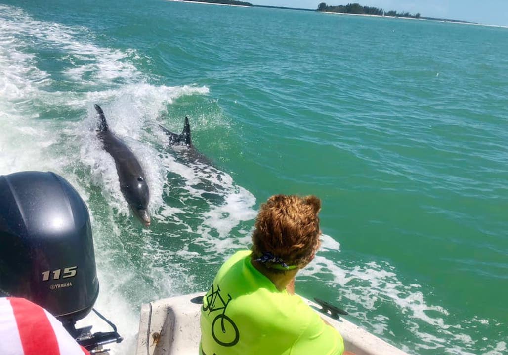 Two Dolphins Behind Boat