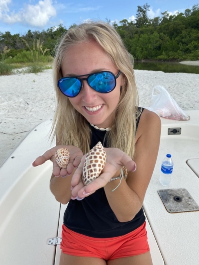 Everything to Know About the Junonia Shell » Sand Dollar Shelling